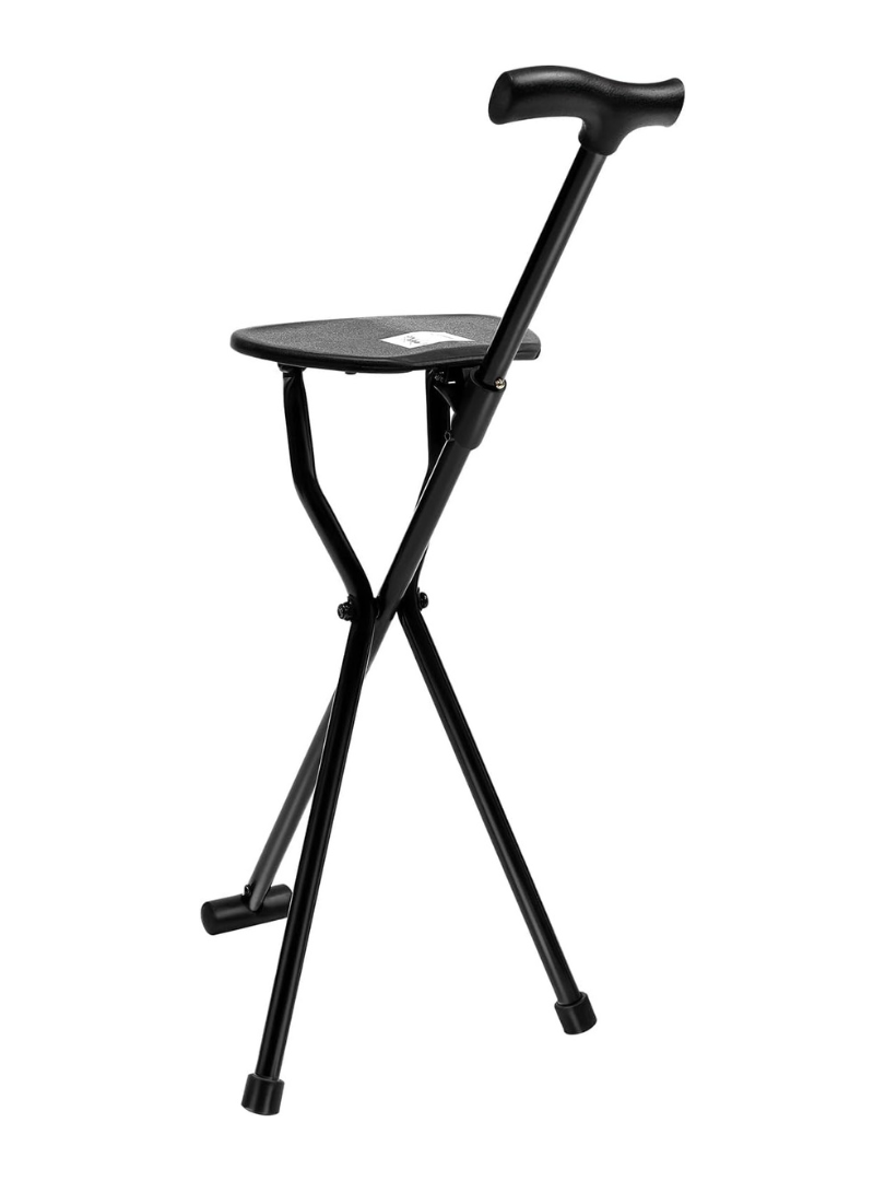 Portable Cane Seat