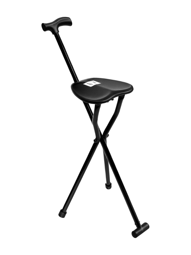 Portable Cane Seat