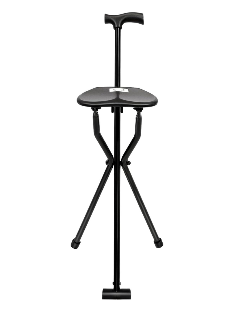 Portable Cane Seat